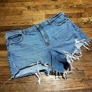 Abercrombie The 4” Mom Short High Rise Size 20